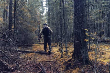 Купить диплом Егеря, лесника в Воронеже