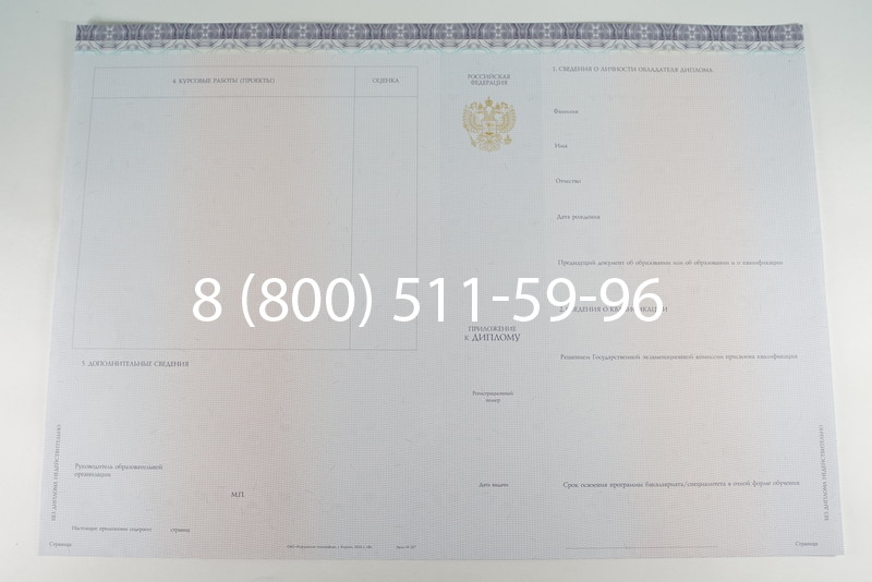 Диплом бакалавра (Киржач) 2014-2024 года в Воронеже Диплом бакалавра (Киржач) 2014-2024 года в Воронеже