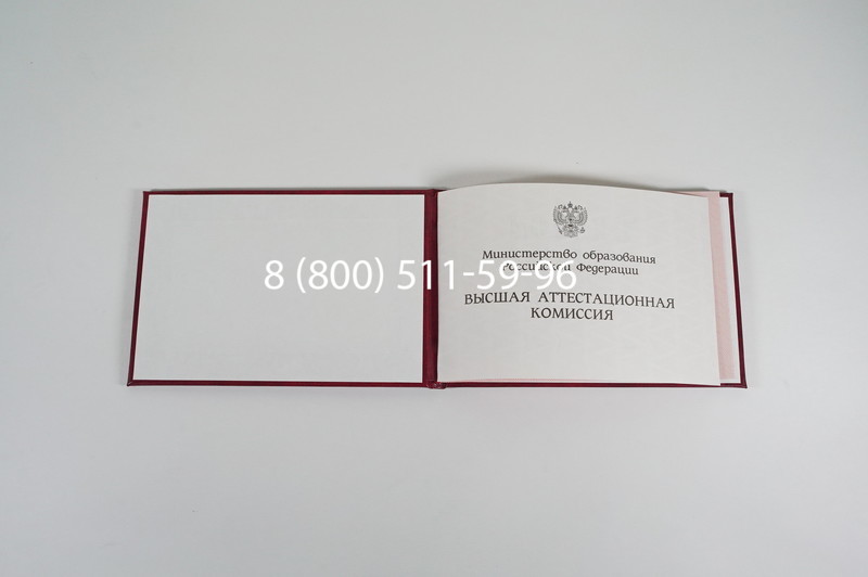 Диплом доктора наук 1995-2006 года в Воронеже Диплом доктора наук 1995-2006 года в Воронеже