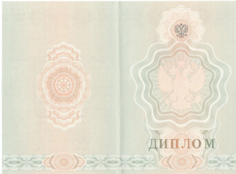 Купить Диплом о начальном образовании  2007-2009 годов в Воронеже