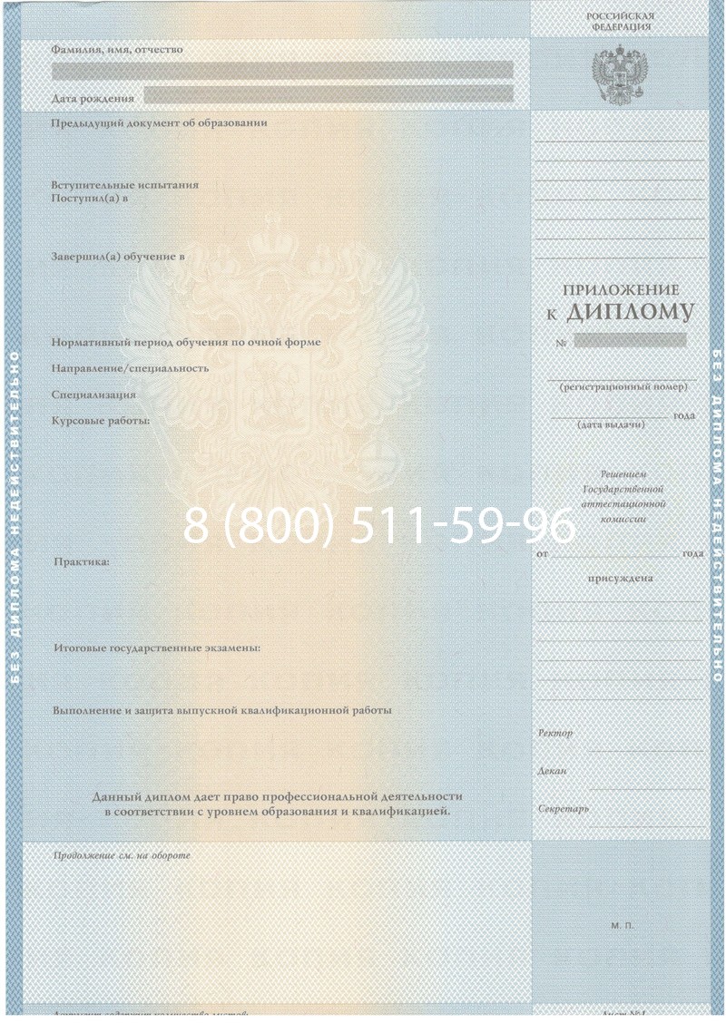 Купить Диплом о высшем образовании 2003-2009 годов в Воронеже Купить Диплом о высшем образовании 2003-2009 годов в Воронеже