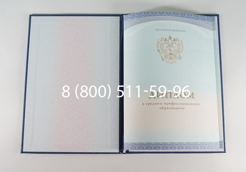 Заказать Диплом колледжа (Спецбланк) 2014-2024 года в Воронеже Заказать Диплом колледжа (Спецбланк) 2014-2024 года в Воронеже